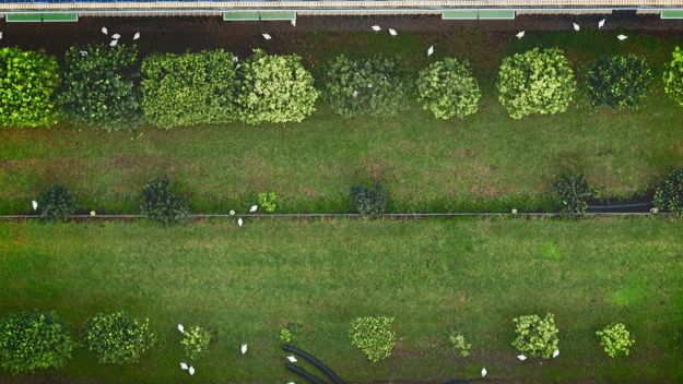 Wataview Drone