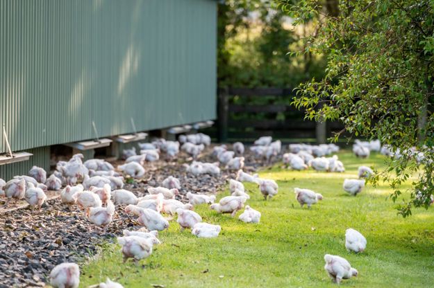 Te Aroha 1280X820